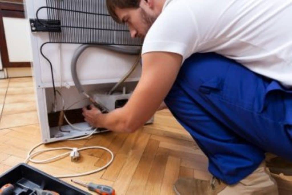 fridge maintenance